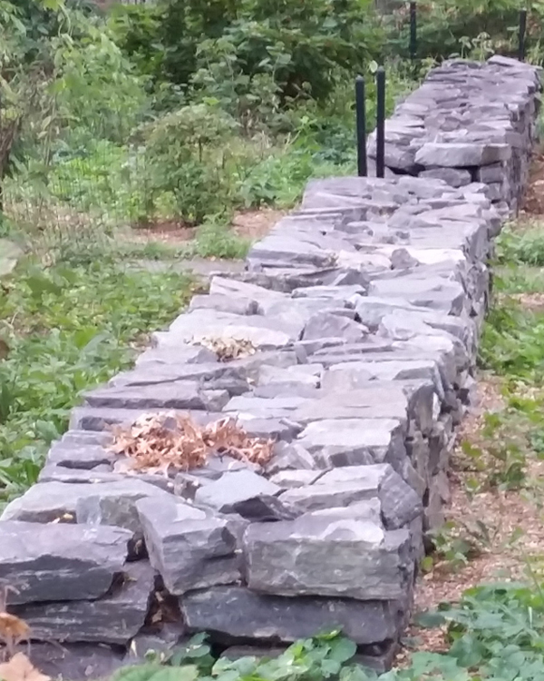 Original Stone Wall from Burial Ground